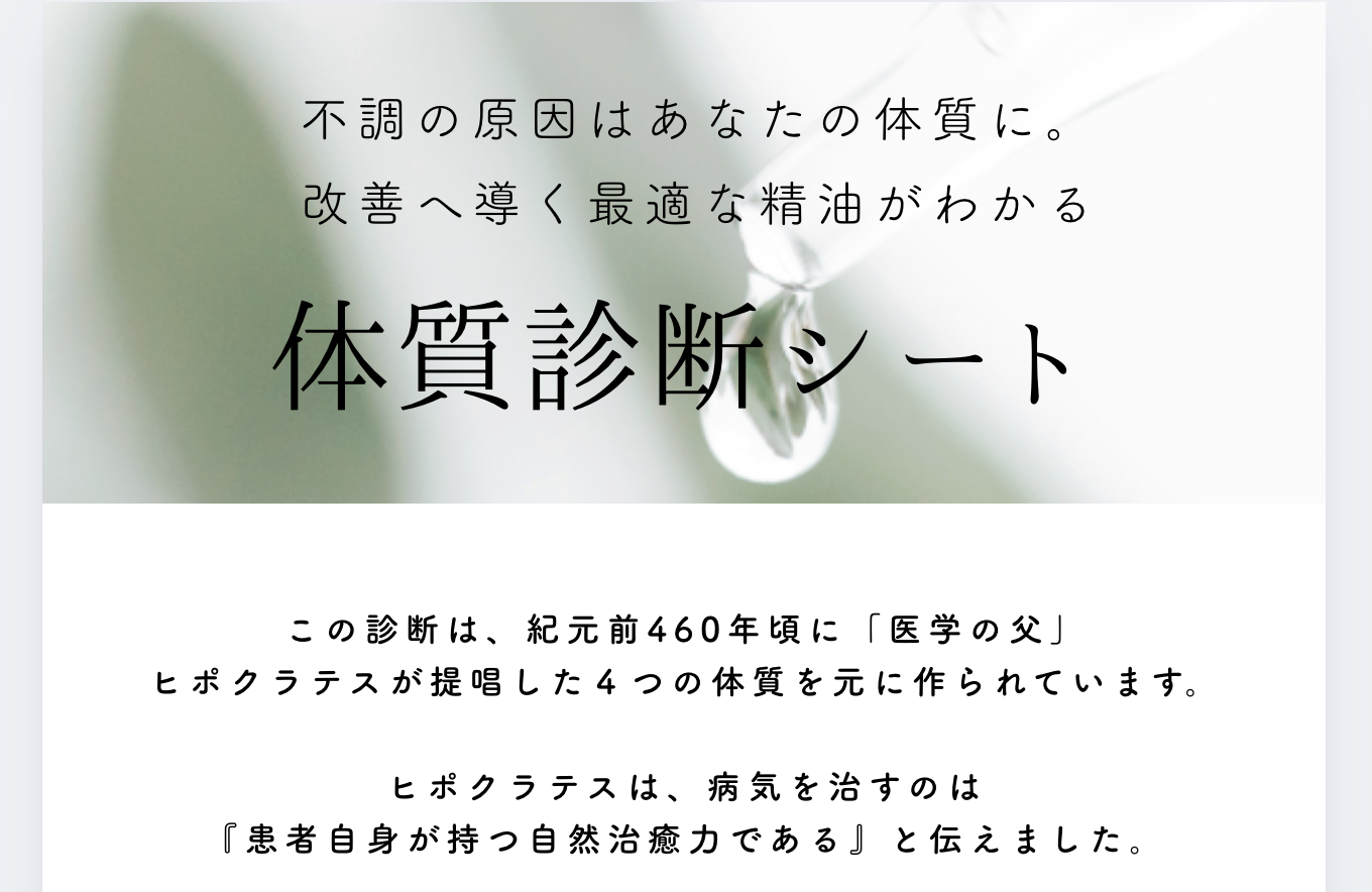 体質診断シートのイメージ画像